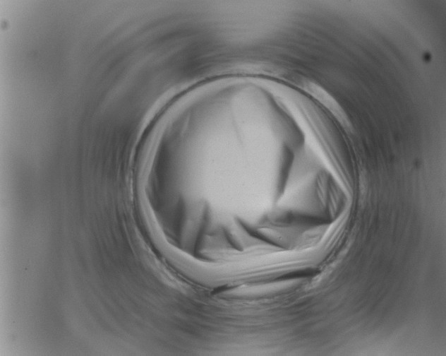 X0000066101436200603312014