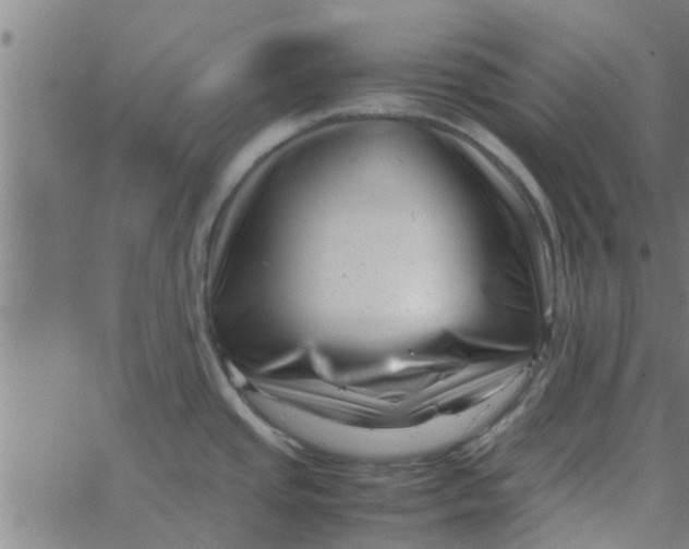 X0000066101437200603312014