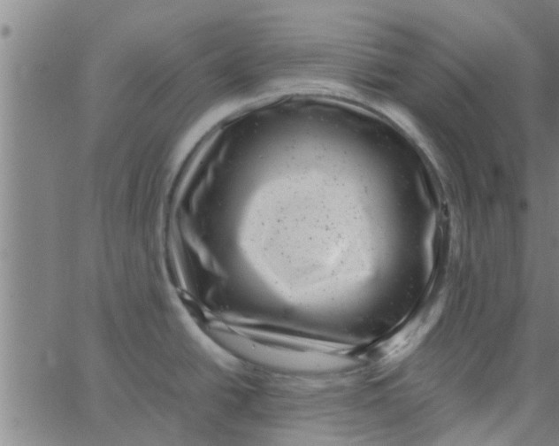 X0000066101438200603312014