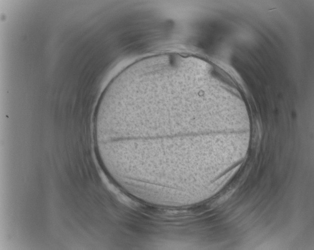 X0000066101439200603312014