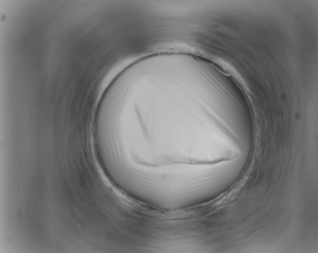 X0000066101440200603312014