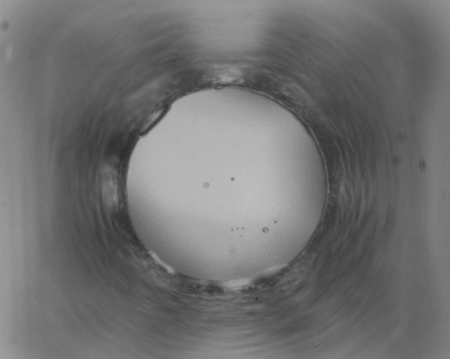 X0000066101442200603312013