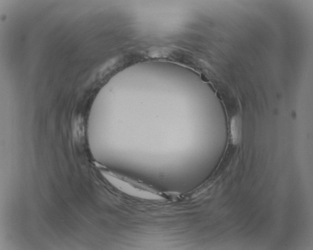 X0000066101443200603312013