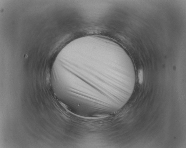 X0000066101444200603312013