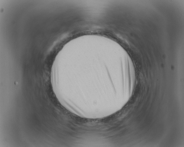 X0000066101447200603312013