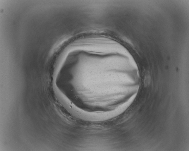 X0000066101448200603312013