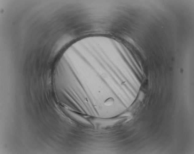 X0000066101450200603312013