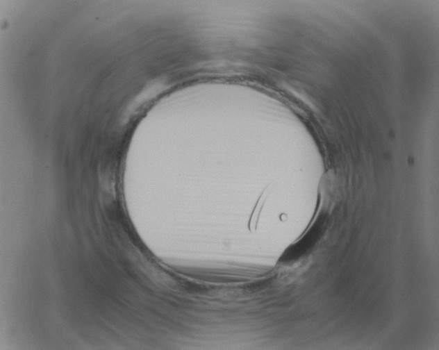 X0000066101451200603312013