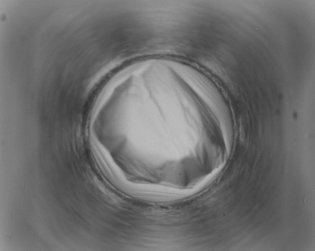 X0000066101452200603312013