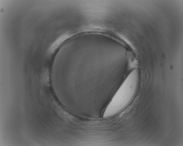 X0000066101455200603312013