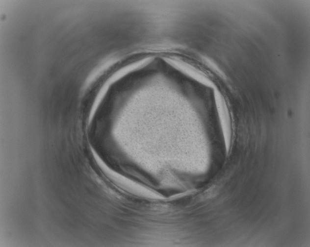 X0000066101456200603312013