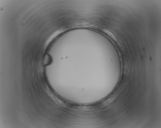 X0000066101458200603312013