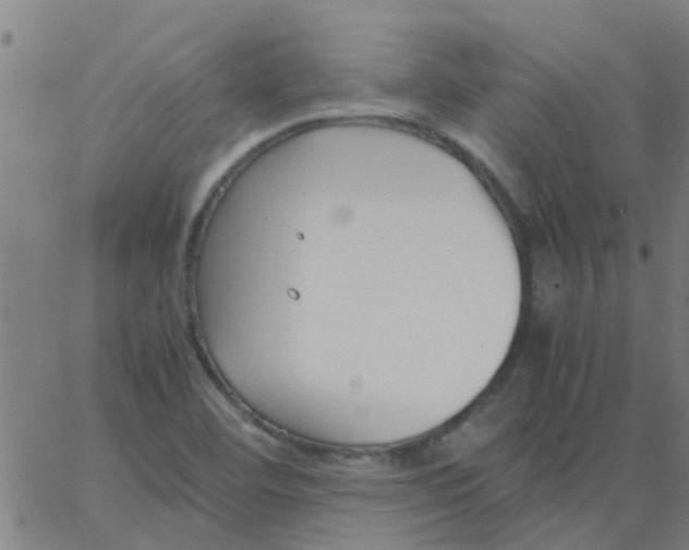 X0000066101460200603312013