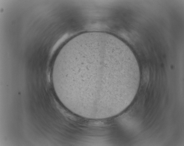 X0000066101462200603312013