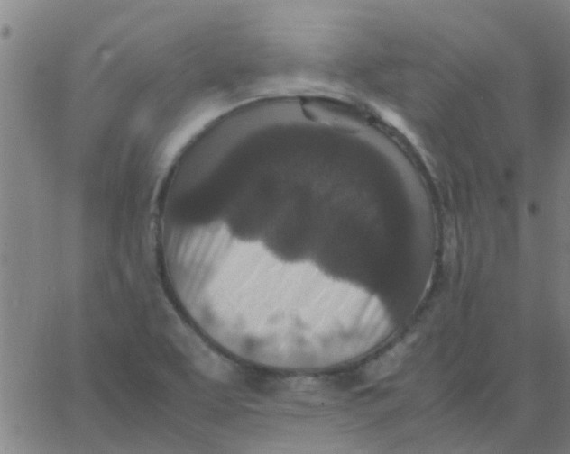 X0000066101463200603312013