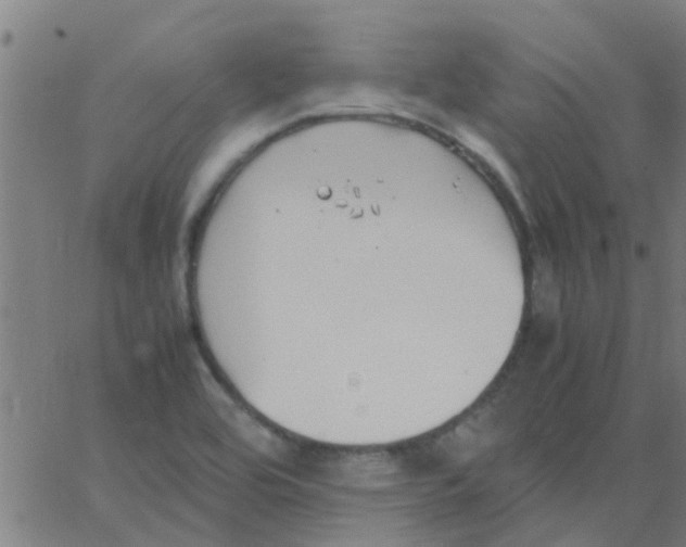 X0000066101464200603312013