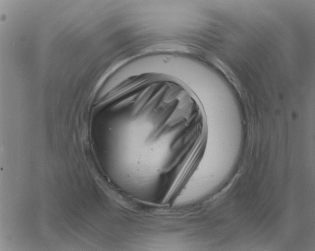 X0000066101465200603312013