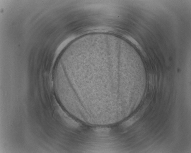 X0000066101466200603312013