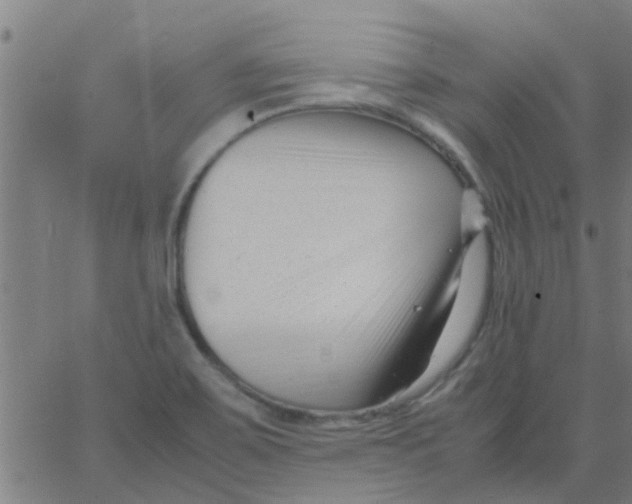 X0000066101467200603312013