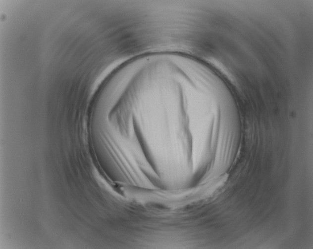 X0000066101468200603312013