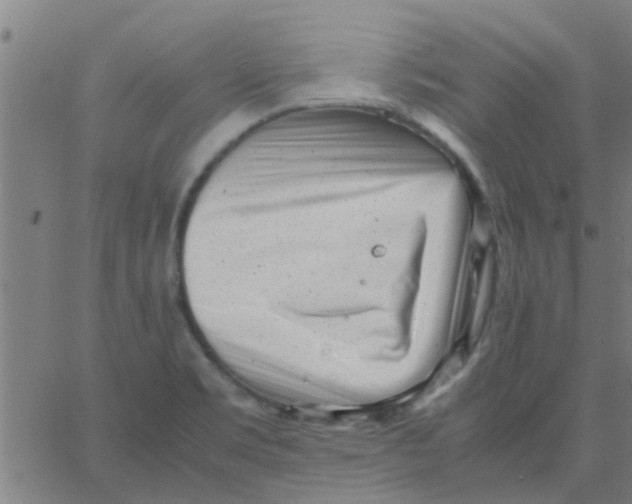 X0000066101469200603312013