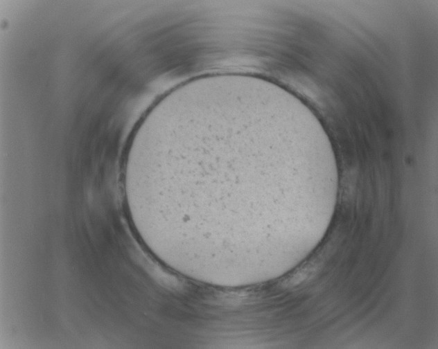 X0000066101470200603312013