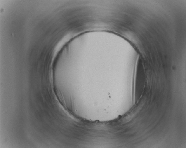 X0000066101472200603312013