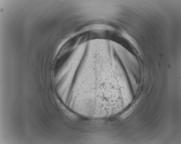 X0000066101473200603312013