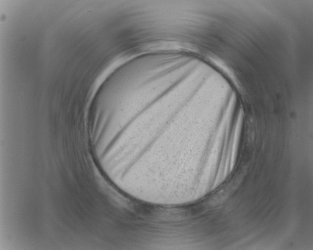 X0000066101475200603312013