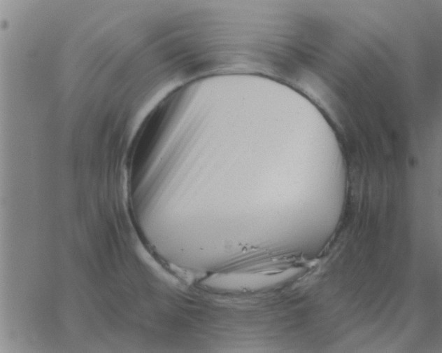 X0000066101476200603312013