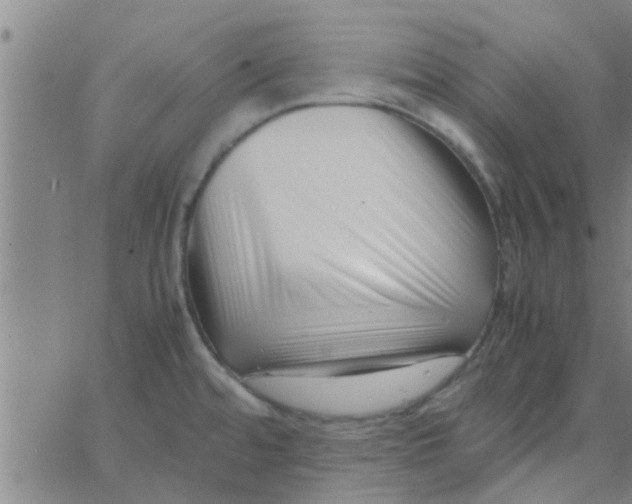 X0000066101480200603312013