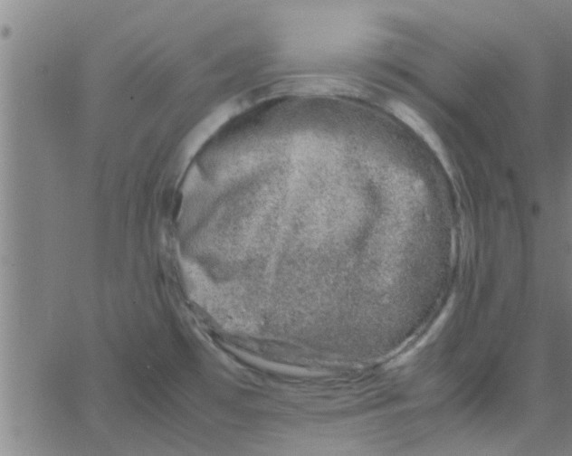 X0000066101481200603312012