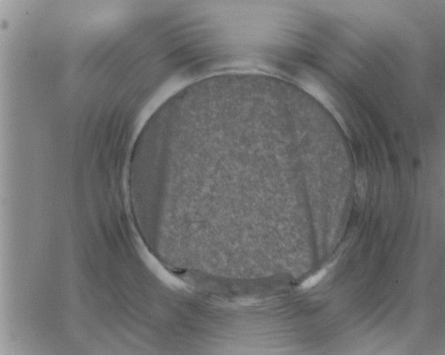 X0000066101482200603312012