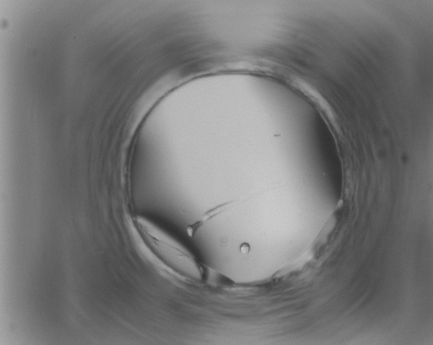 X0000066101483200603312012