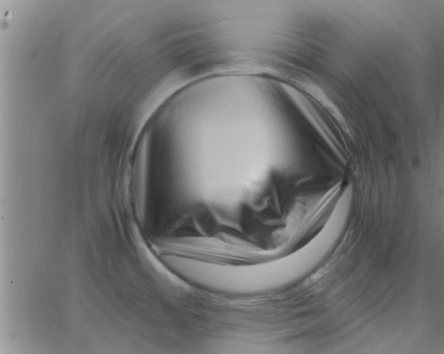 X0000066101484200603312012