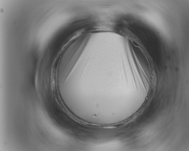 X0000066101487200603312012