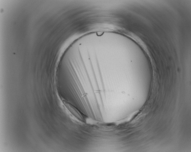 X0000066101488200603312012