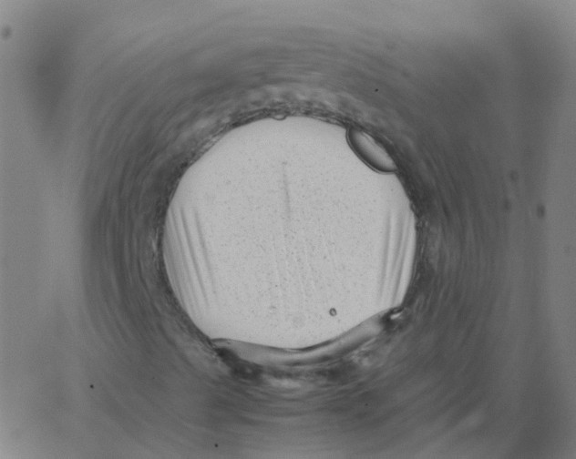 X0000066101489200603312012