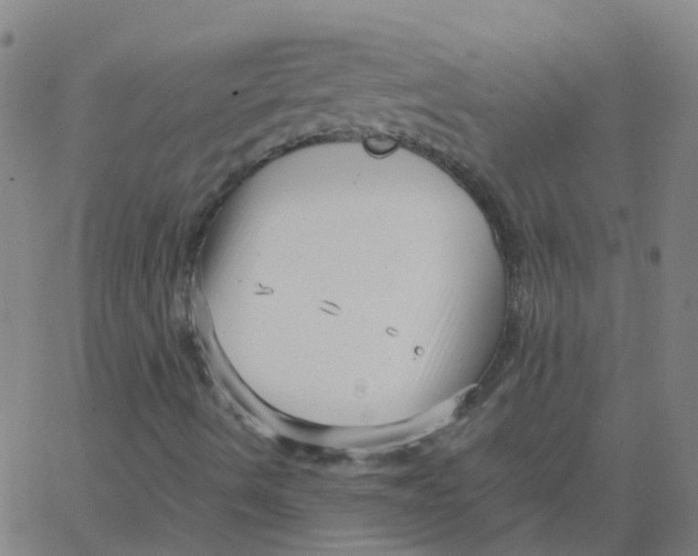 X0000066101490200603312012