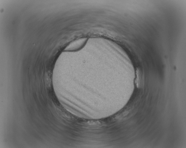 X0000066101491200603312012