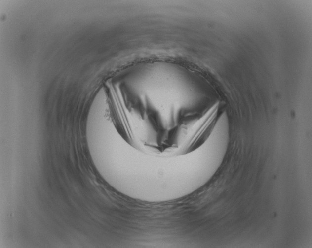 X0000066101492200603312012