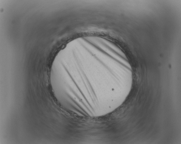 X0000066101493200603312012