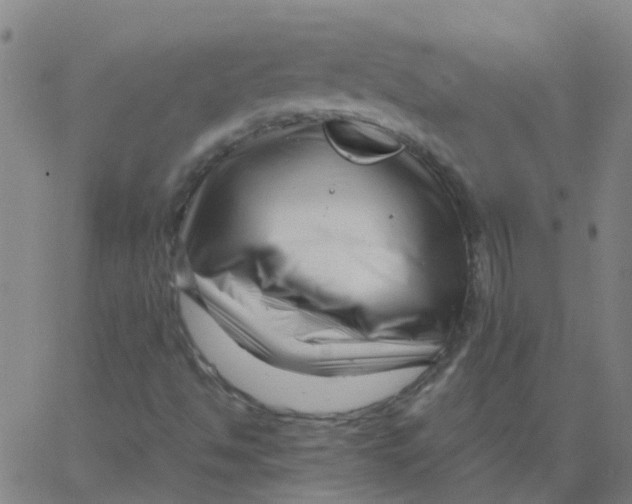 X0000066101494200603312012