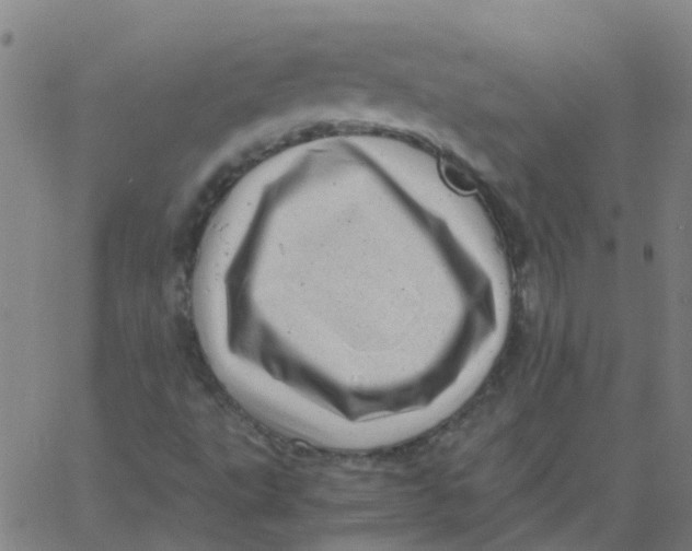 X0000066101495200603312012