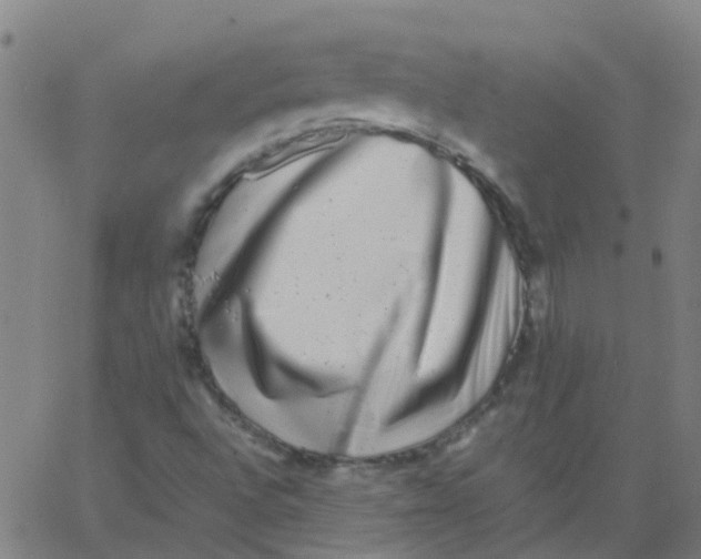 X0000066101496200603312012