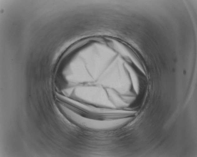 X0000066101500200603312012