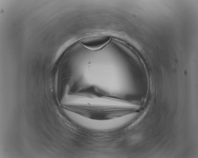 X0000066101501200603312012