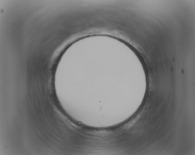 X0000066101502200603312012