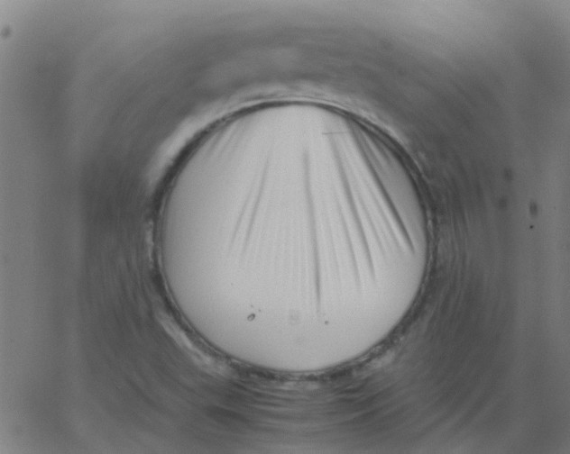 X0000066101503200603312012