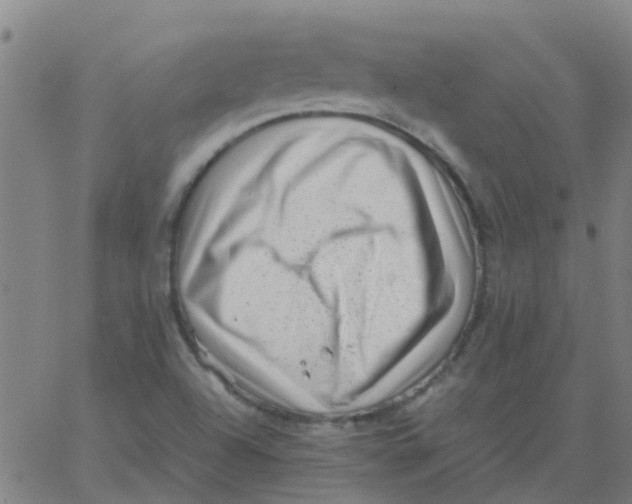 X0000066101504200603312012